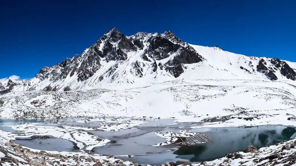 盘点「BAYC无聊猿」的28位明星持有者