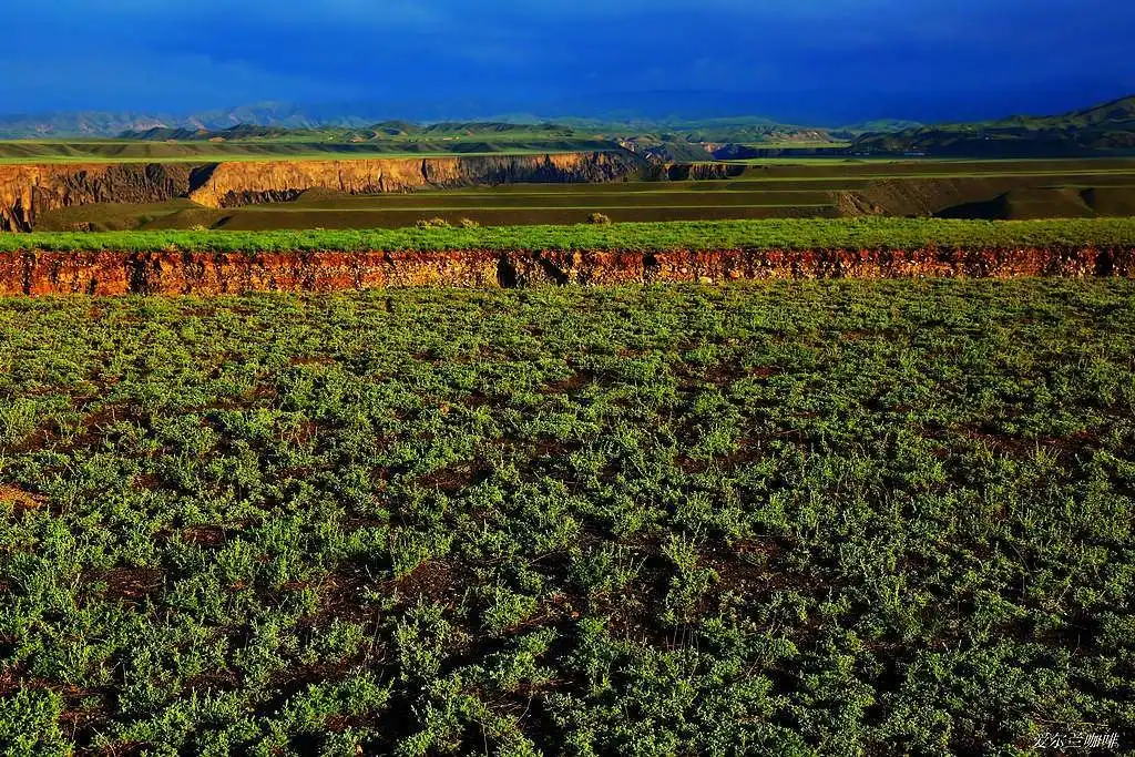 a16z 合伙人:Web3 的新思维、新策略和新指标