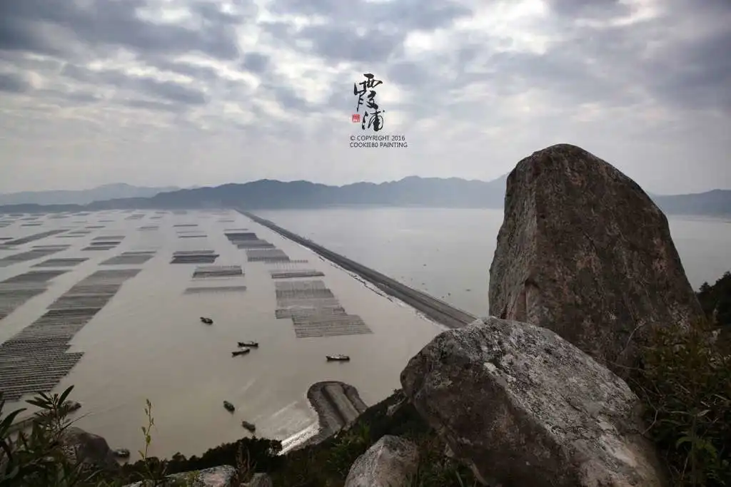 自媒体导航-https://www.zmt.wiki