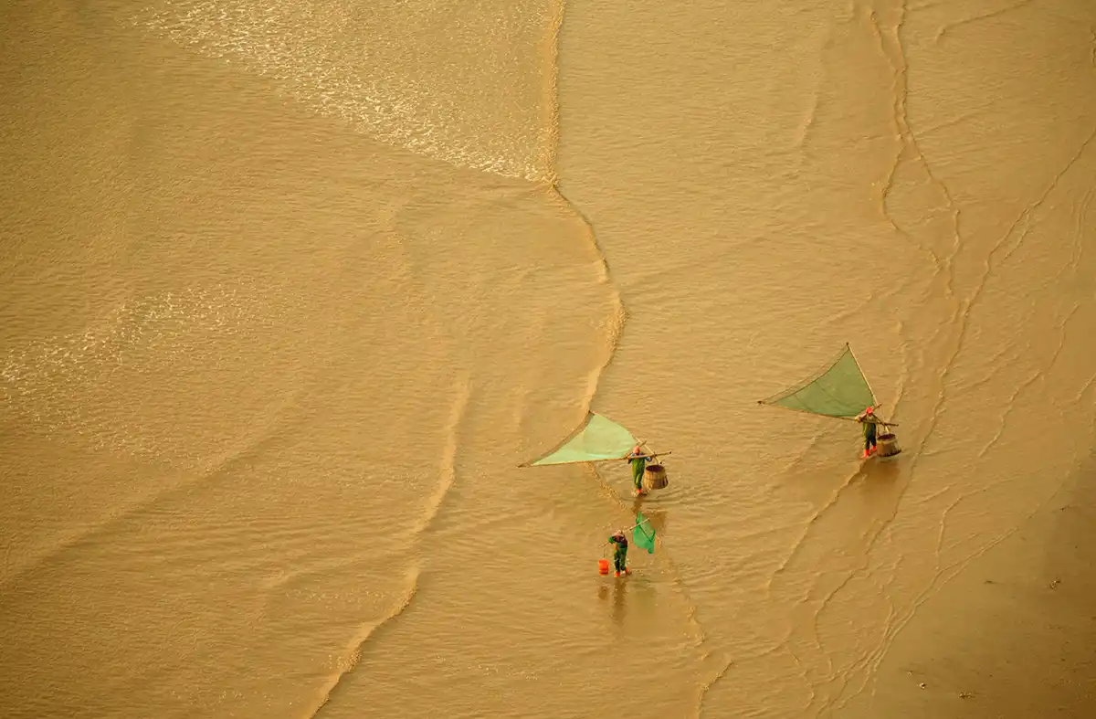 自媒体导航-https://www.zmt.wiki