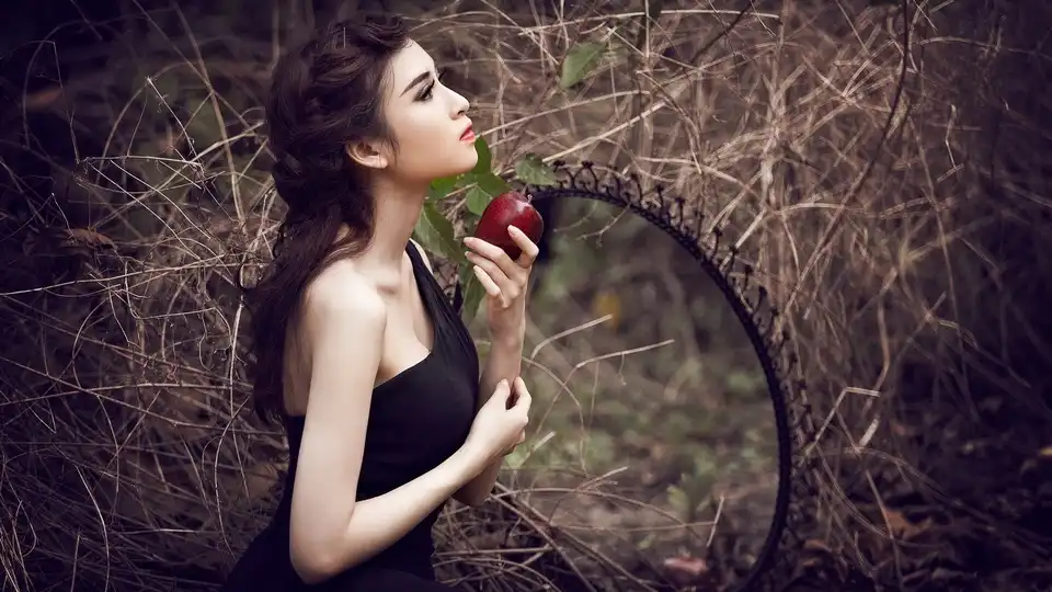 自媒体导航-https://www.zmt.wiki