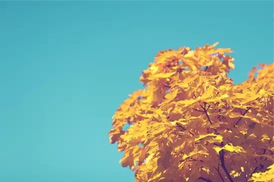 网上最火的脑筋急转弯带答案(优选92句)
