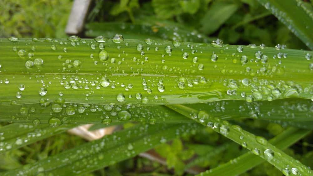 创建一流企业实施方案范文