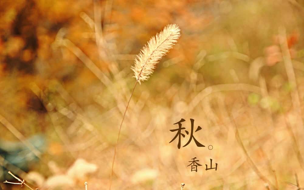 前程似锦的女孩 台词,前程似锦的女孩电影简介
