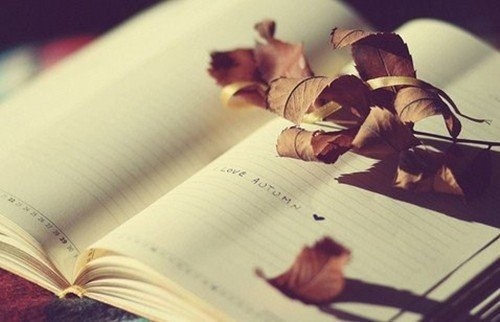 坐完月子的心情语录143句_月子语录