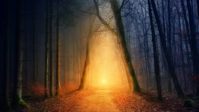 2022绝美痴情的古风情话大全_2022古风句子精选