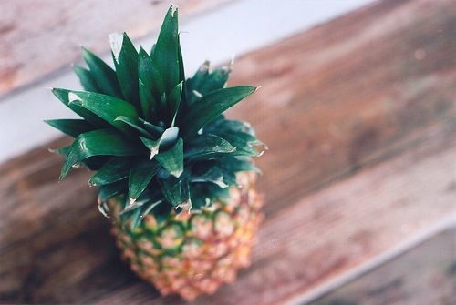 自媒体导航-https://www.zmt.wiki