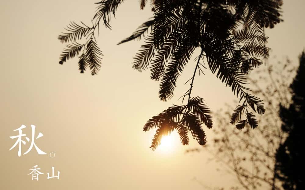 自媒体导航-https://www.zmt.wiki