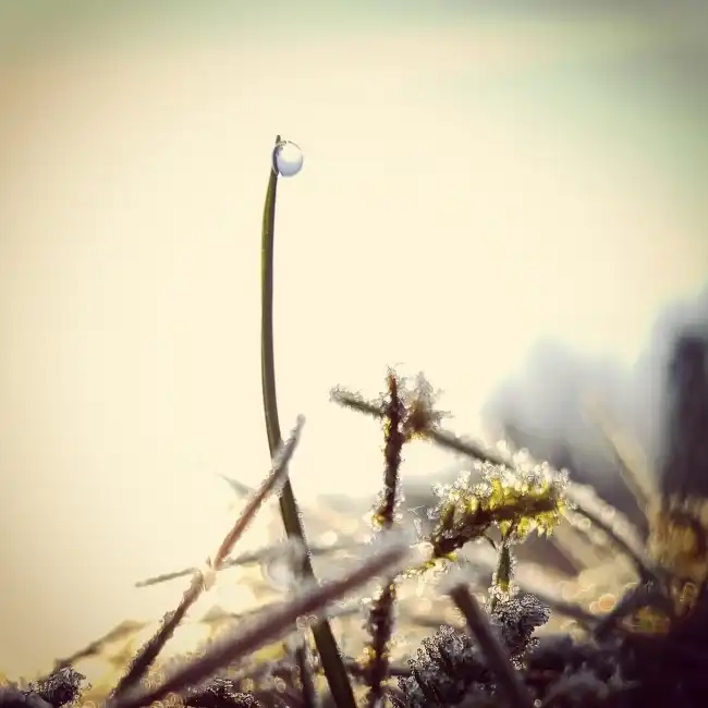 2022特能撩人的古风情话短句_很甜的古风情话短句