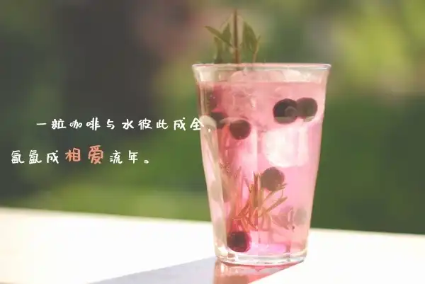 自媒体导航-https://www.zmt.wiki