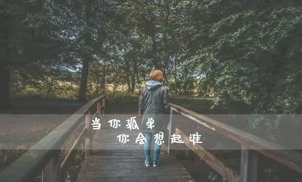 自媒体导航-https://www.zmt.wiki