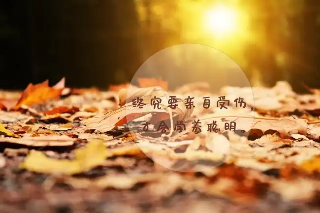 惊悚《无处逢生》电影解说文案
