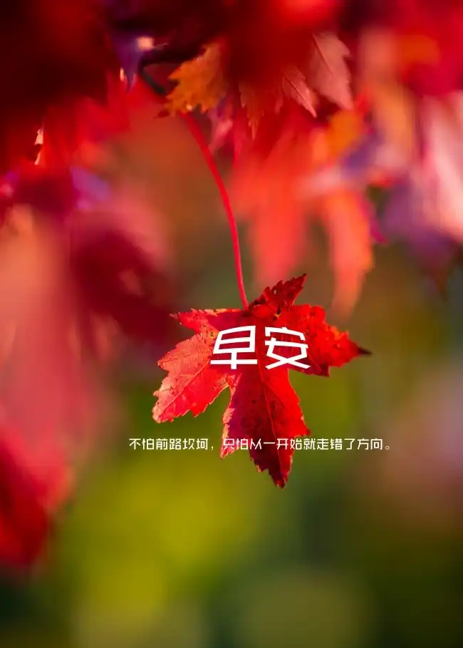 杰罗德游戏百度百科,杰罗德游戏电影解析